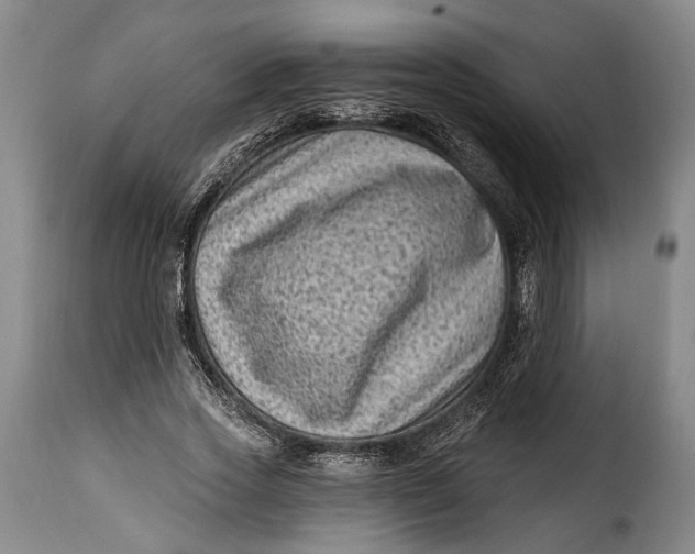 X0000115380733200911241303