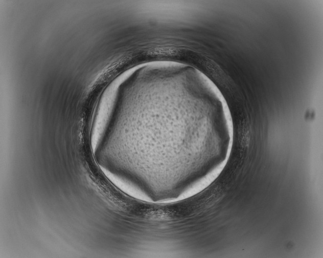 X0000115380735200911241303