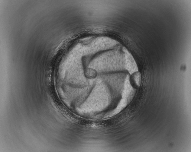 X0000115380739200911241303