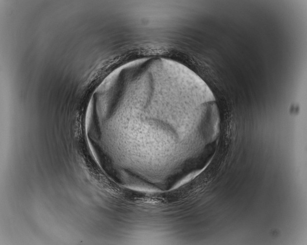 X0000115380743200911241303