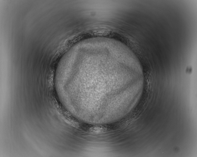 X0000115380745200911241303