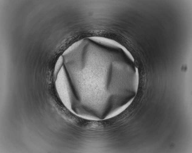 X0000115380750200911241303