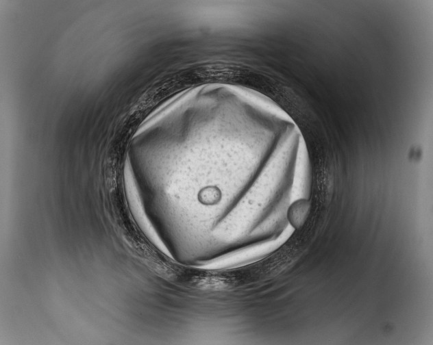 X0000115380751200911241303