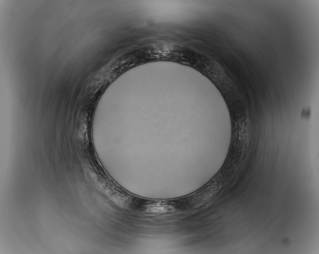 X0000115380754200911241303