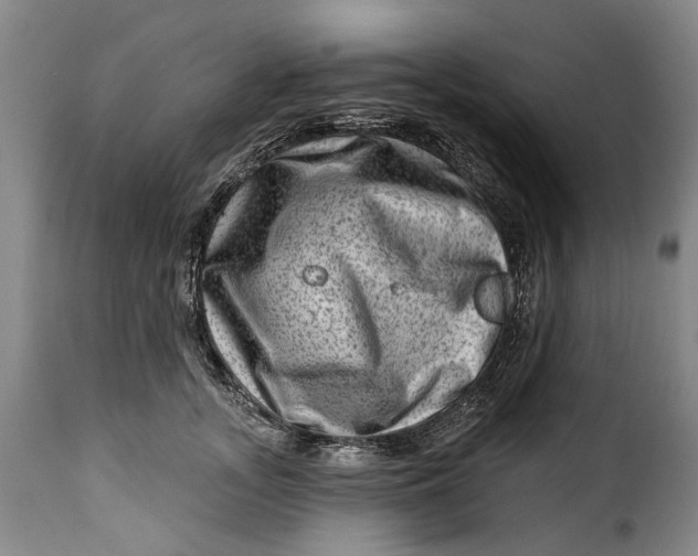 X0000115380755200911241303