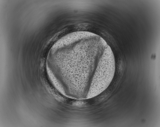 X0000115380759200911241303