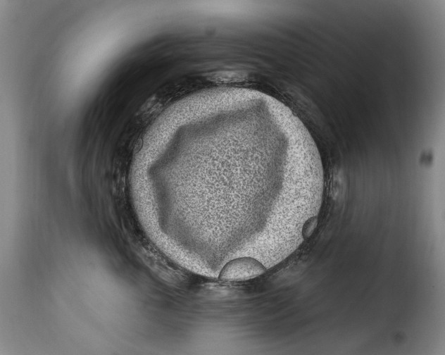 X0000115380763200911241303