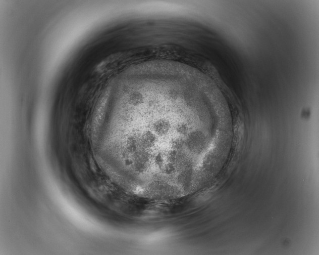 X0000115380765200911241303