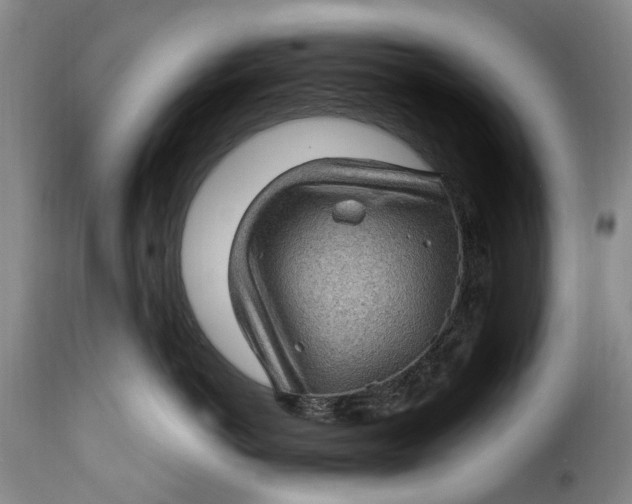 X0000115380766200911241303