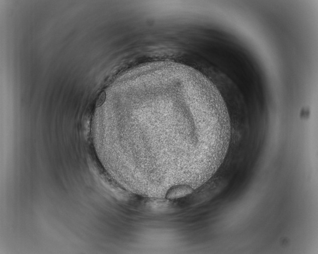 X0000115380767200911241303