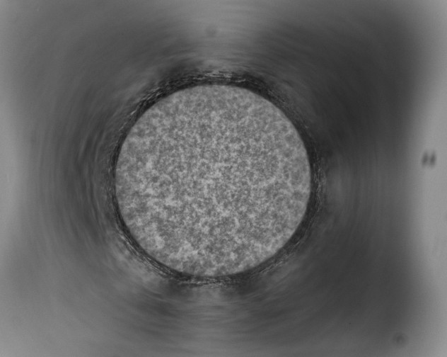 X0000115380769200911241303