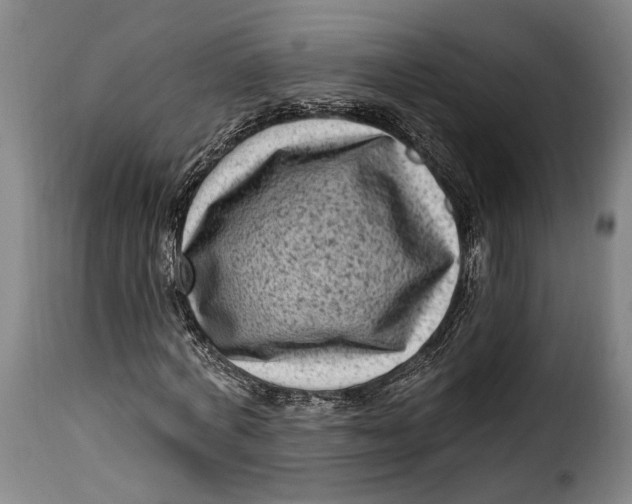 X0000115380772200911241303