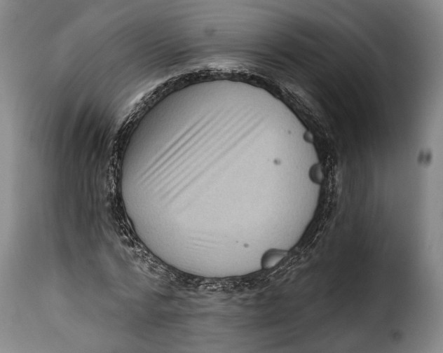 X0000115380776200911241303