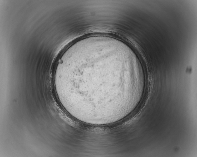 X0000115380779200911241302