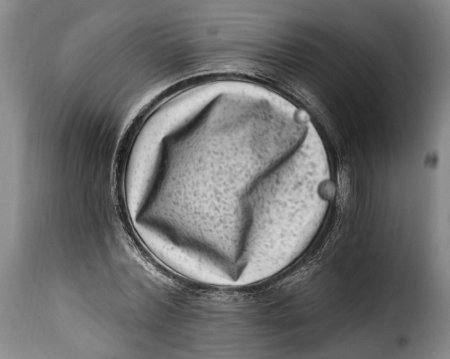 X0000115380780200911241302