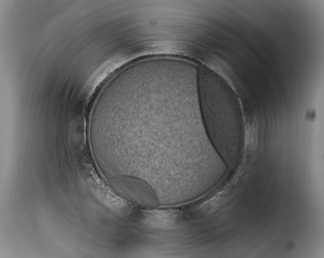 X0000115380781200911241302