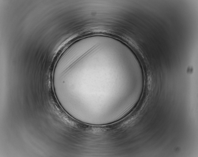 X0000115380782200911241302