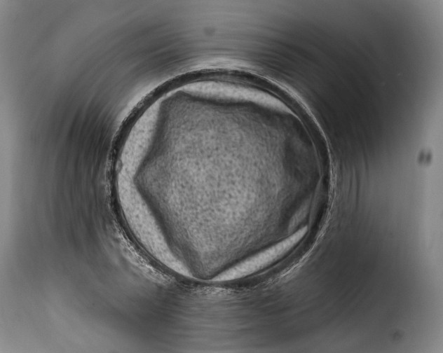 X0000115380783200911241302