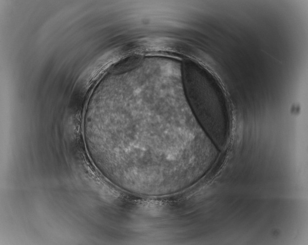 X0000115380785200911241302