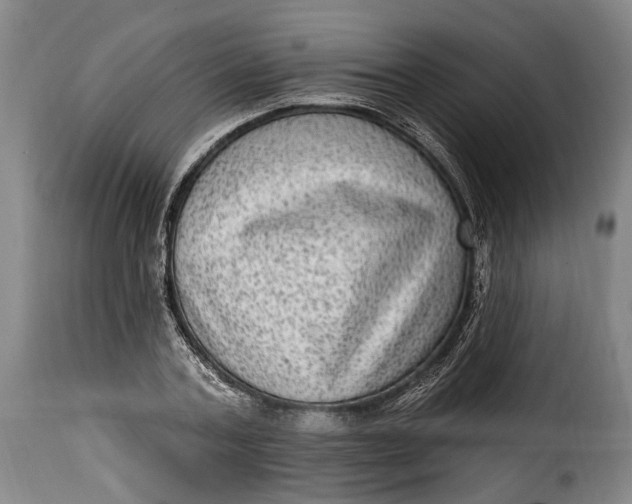 X0000115380787200911241302