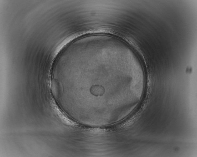 X0000115380789200911241302