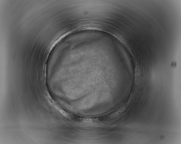 X0000115380790200911241302