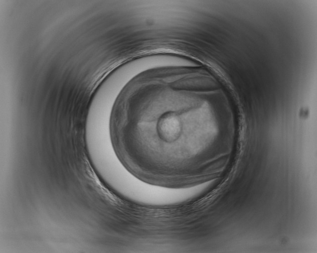 X0000115380793200911241302