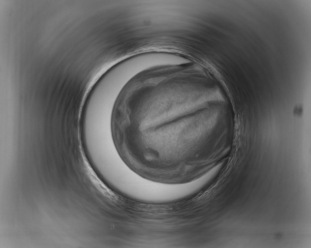 X0000115380795200911241302