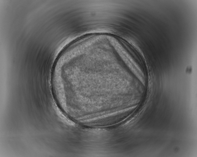 X0000115380797200911241302