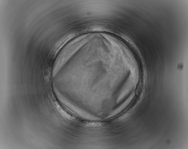 X0000115380801200911241302