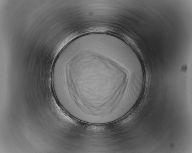 X0000115380802200911241302