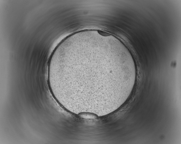 X0000115380804200911241302