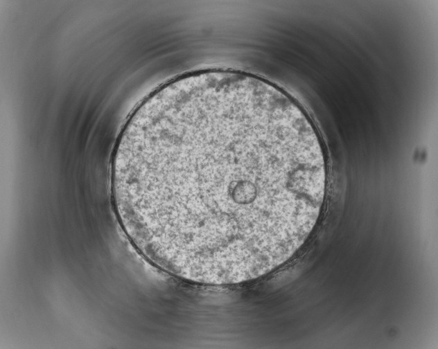 X0000115380807200911241302