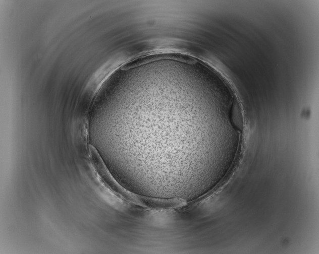 X0000115380809200911241302