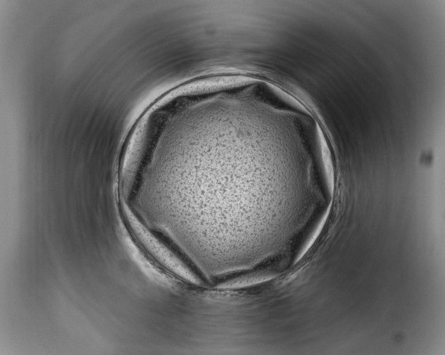 X0000115380811200911241302