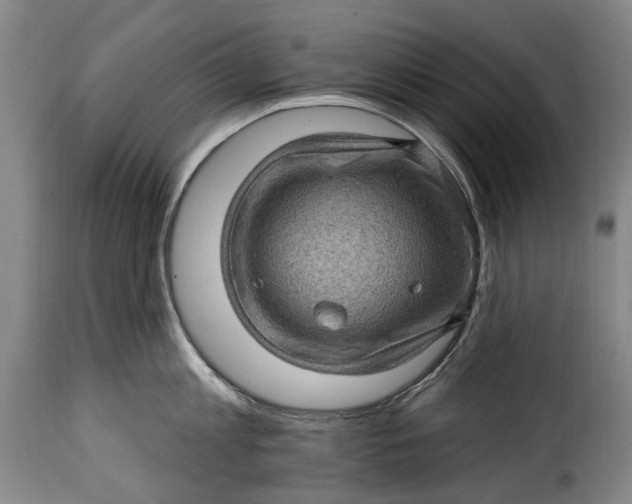 X0000115380813200911241302