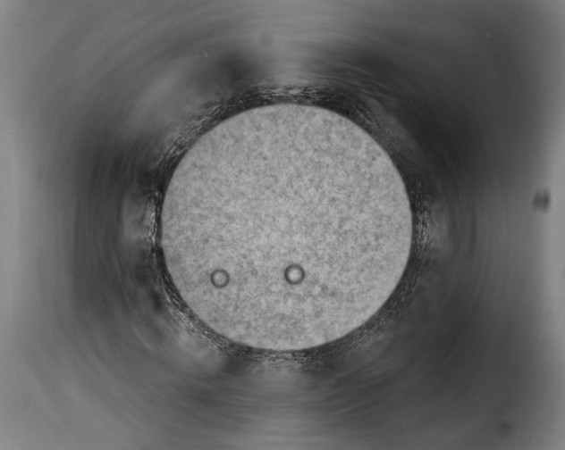 X0000115380820200911241301