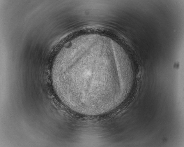 X0000115380822200911241301