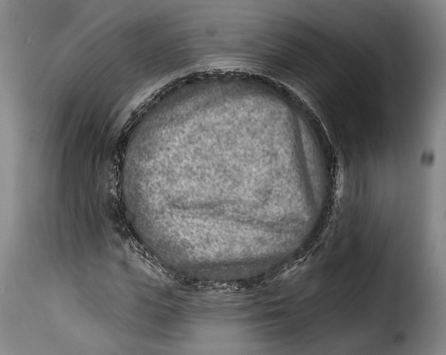 X0000115380823200911241301