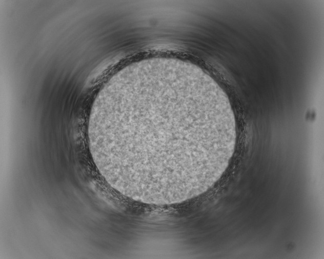 X0000115380824200911241301