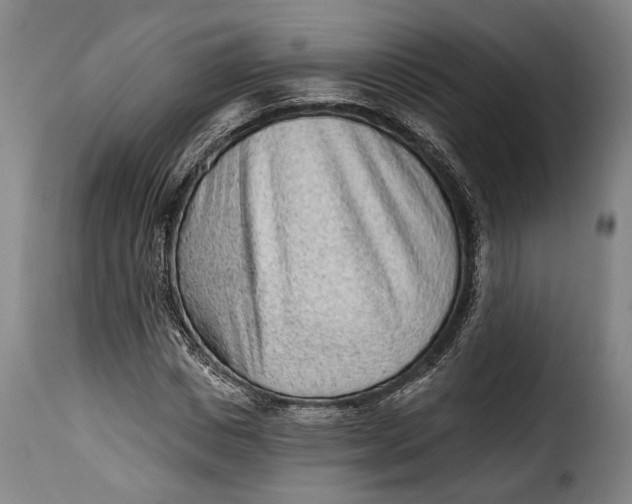 X0000115380825200911241301