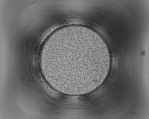 X0000115380828200911241301