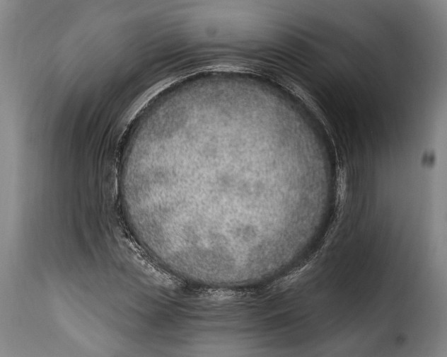 X0000115380829200911241301