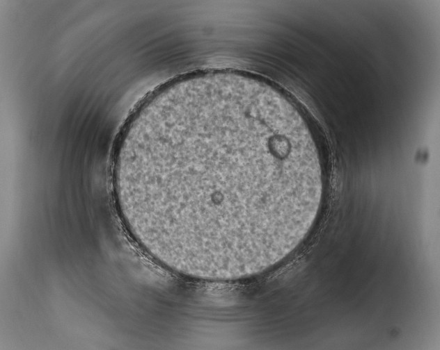 X0000115380832200911241302