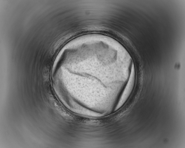 X0000115380833200911241302