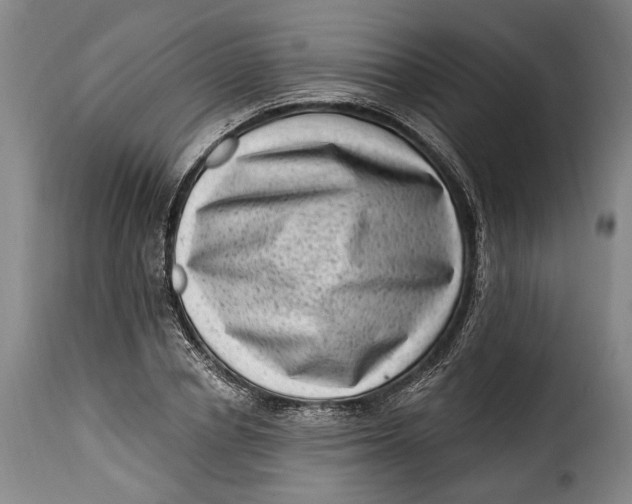 X0000115380834200911241302