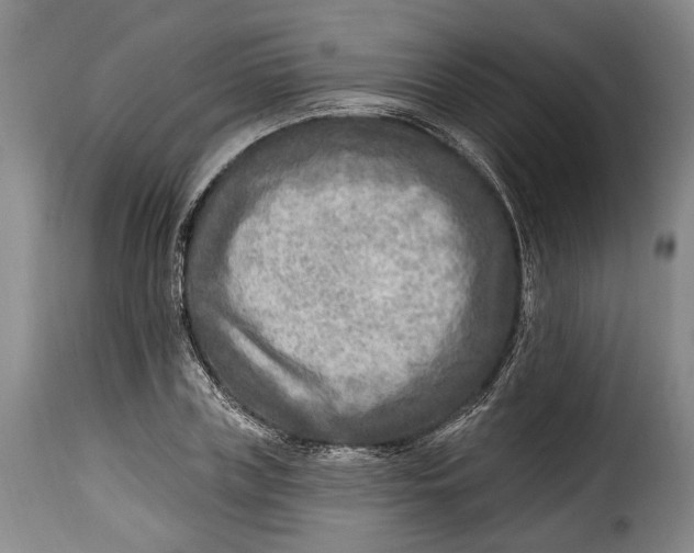 X0000115380835200911241302