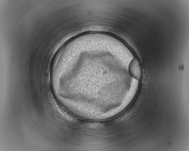 X0000115380837200911241302