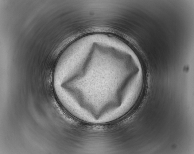 X0000115380841200911241302