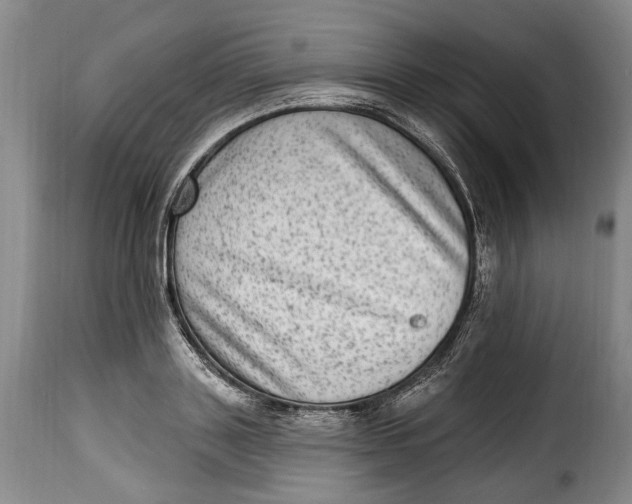 X0000115380843200911241302